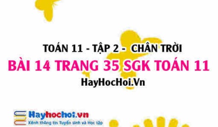 Bài 14 trang 35 Toán 11 tập 2 Chân trời sáng tạo